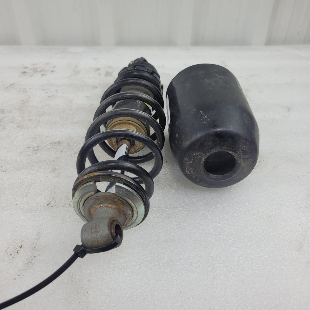 20241121_141215.jpg