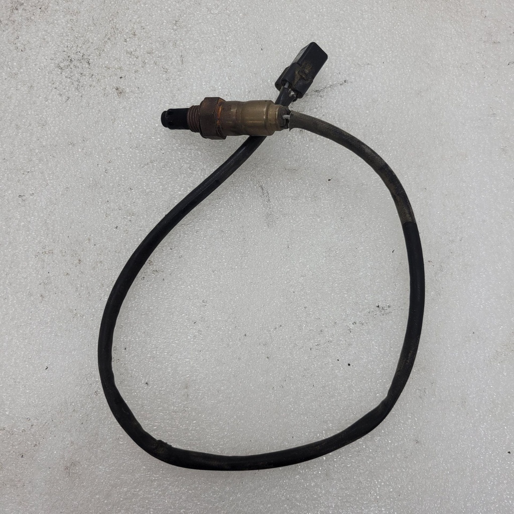 sensor, oxygen
