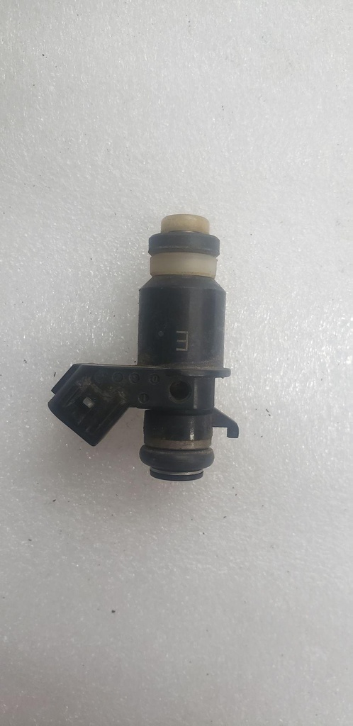 Injector, Fuel