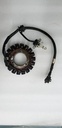 STATOR,IGNITION,EFI (H 20%