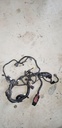 HARNESS, MAIN