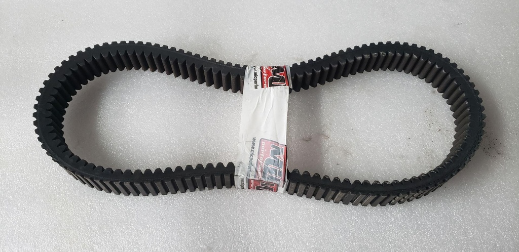 GATES BELT
