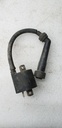 IGNITION COIL ASSY