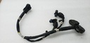 INJECTOR W HARNESS