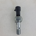 (new ref. 4081117) switch-brk,m10x1.25,dbl