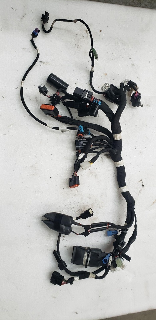 HARNESS-MAIN LE STD [I