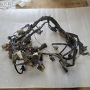 HARNESS,MAIN