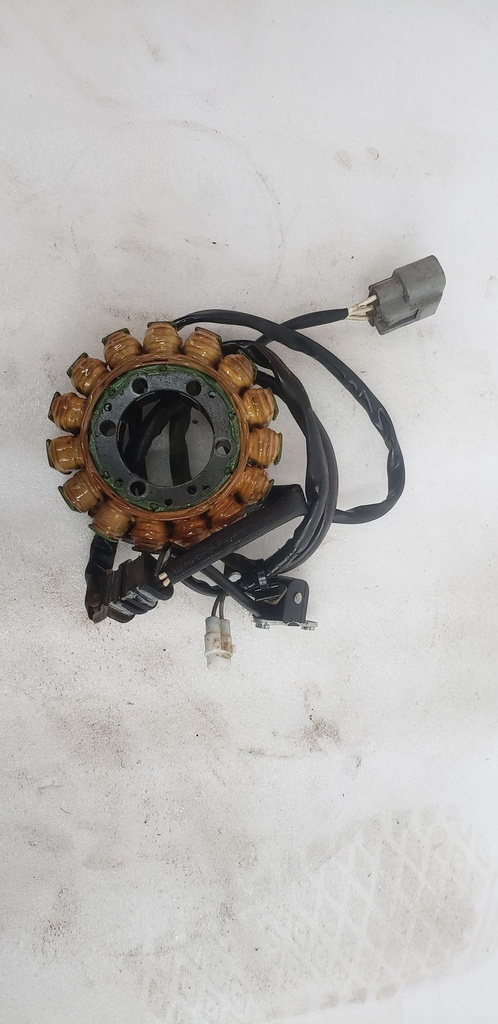 Stator Assy