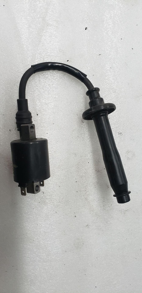 COIL, IGNITION (TOP-1) 05%