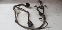 Engine Wiring Harness