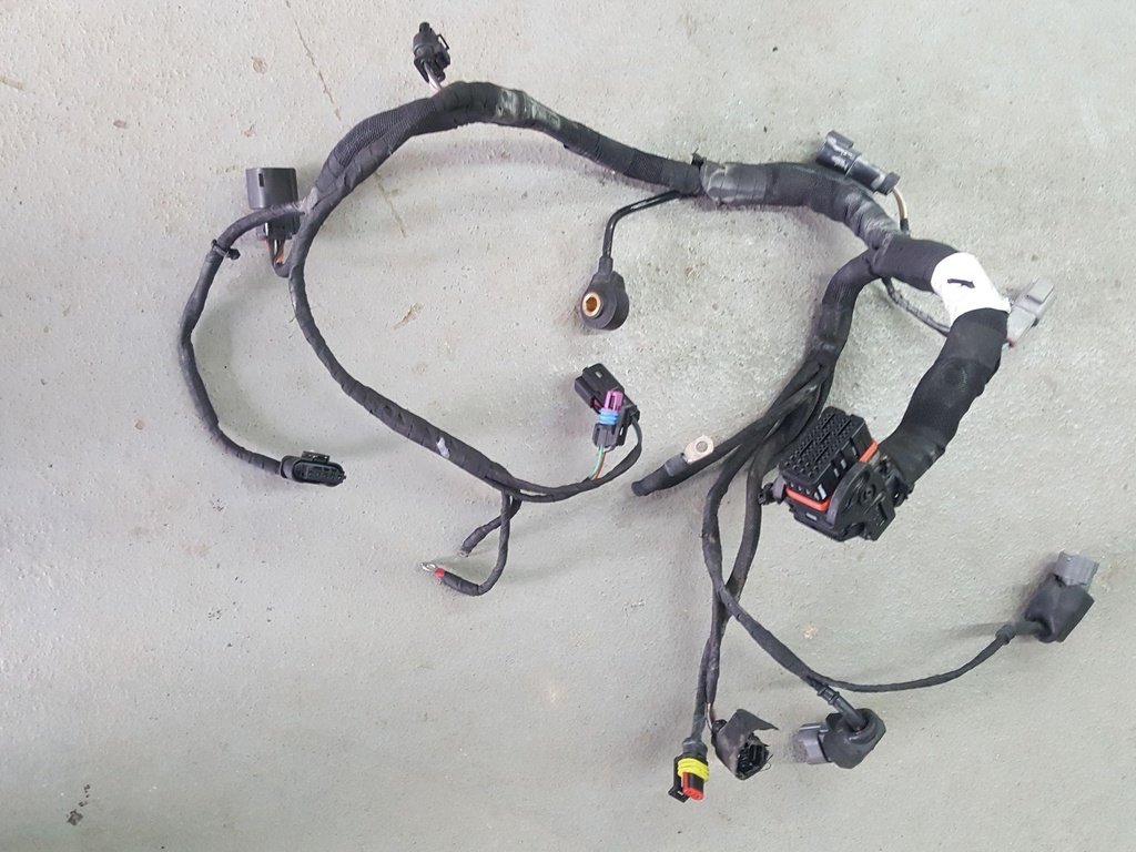 Engine Harness Except SHOT