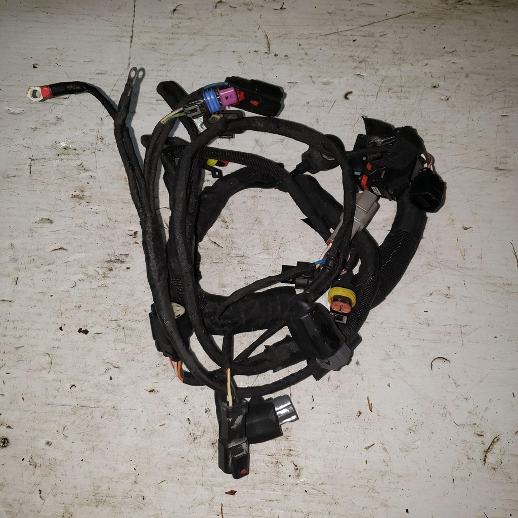 Engine Harness SHOT