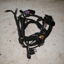 Engine Harness SHOT