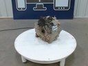 Front Differential Ass'y