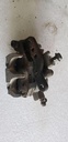 CALIPER ASSY, FRONT RH - 59100-09F10 suzuki