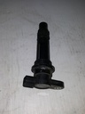 IGNITION COIL ASSY - YAMAHA - 8FP-82310-00-00