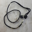Cord, Headlight