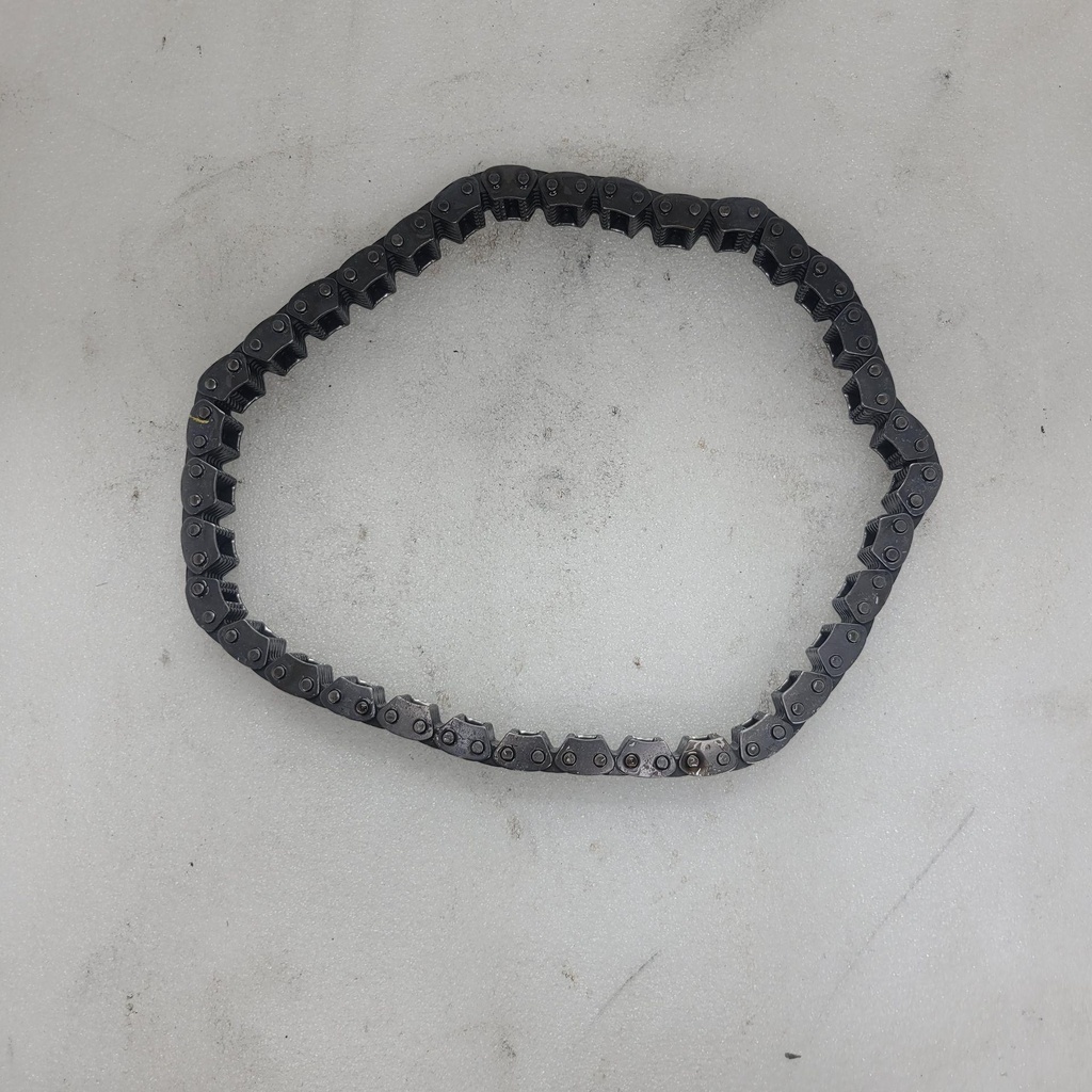 Chain (70L)