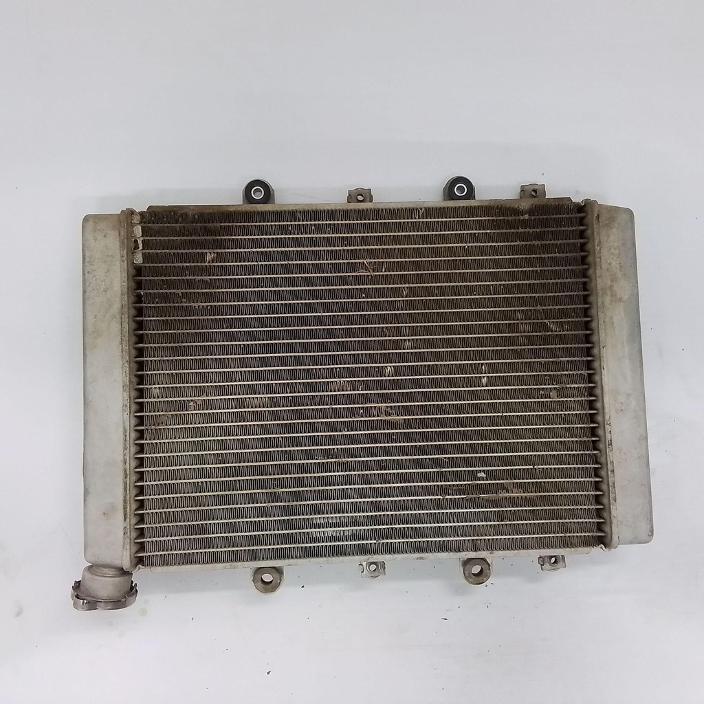 Radiator Assy
