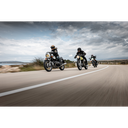 10-0306-0782_2