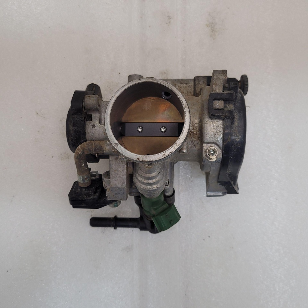 Throttle Body Assy