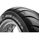 10-0302-1260_2