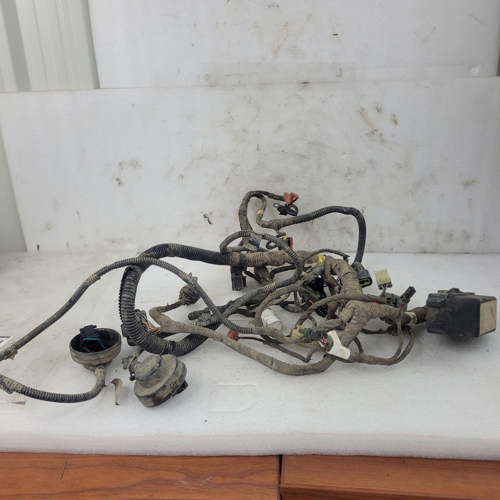 main wiring harness