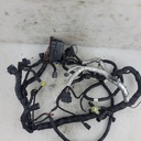 harness, main (inc. 13-19)