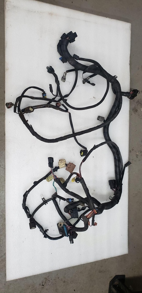 Harness, Main