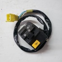 SWITCH ASSY, HANDLE LH 05%