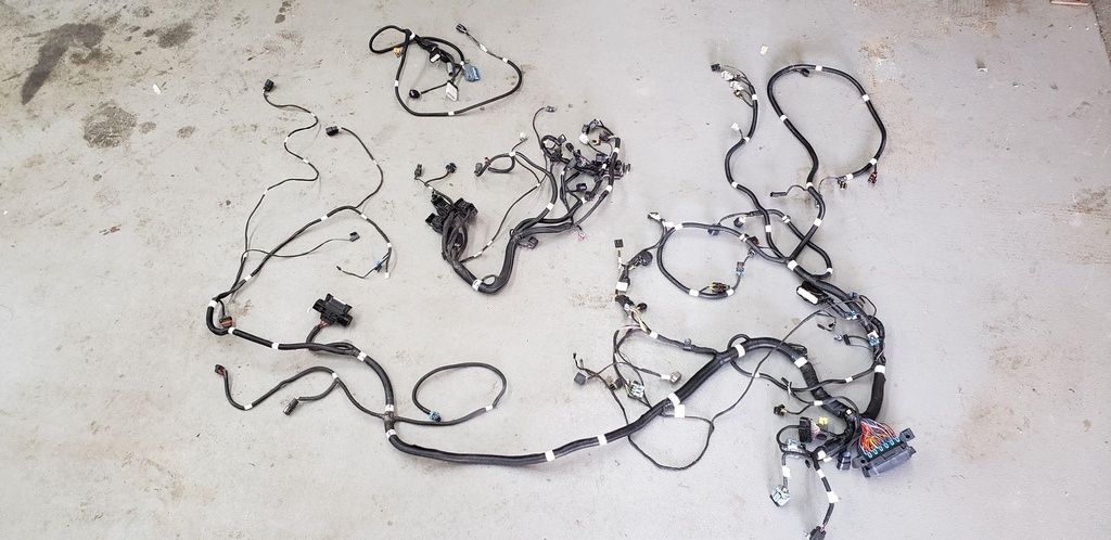 HARNESS, CHASSIS, RIDE 20%