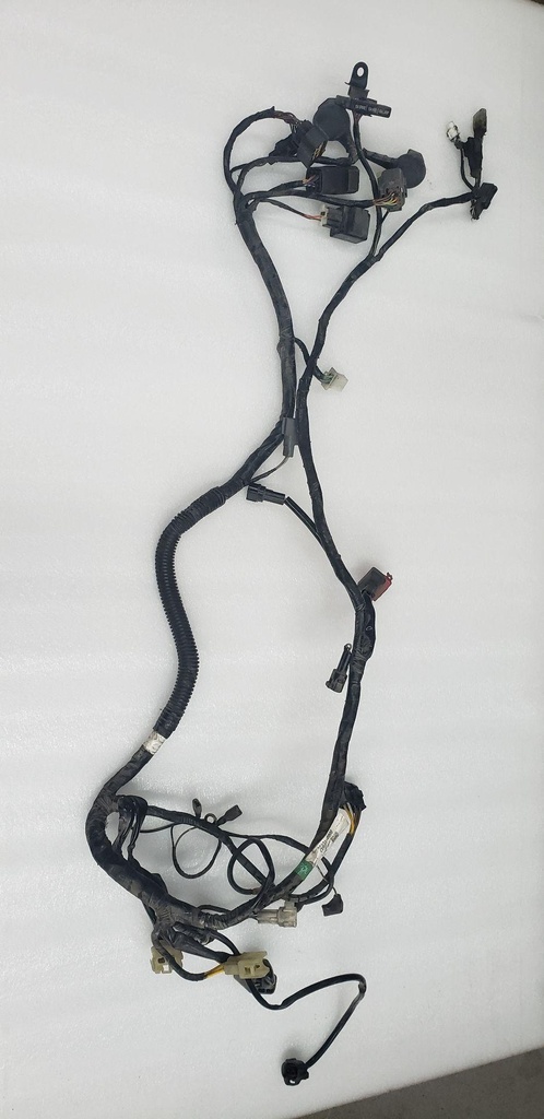 HARNESS,MAIN