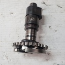 CAMSHAFT-COMP,FR