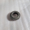 20250318_110558.jpg