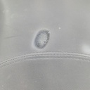 20250311_160546.jpg