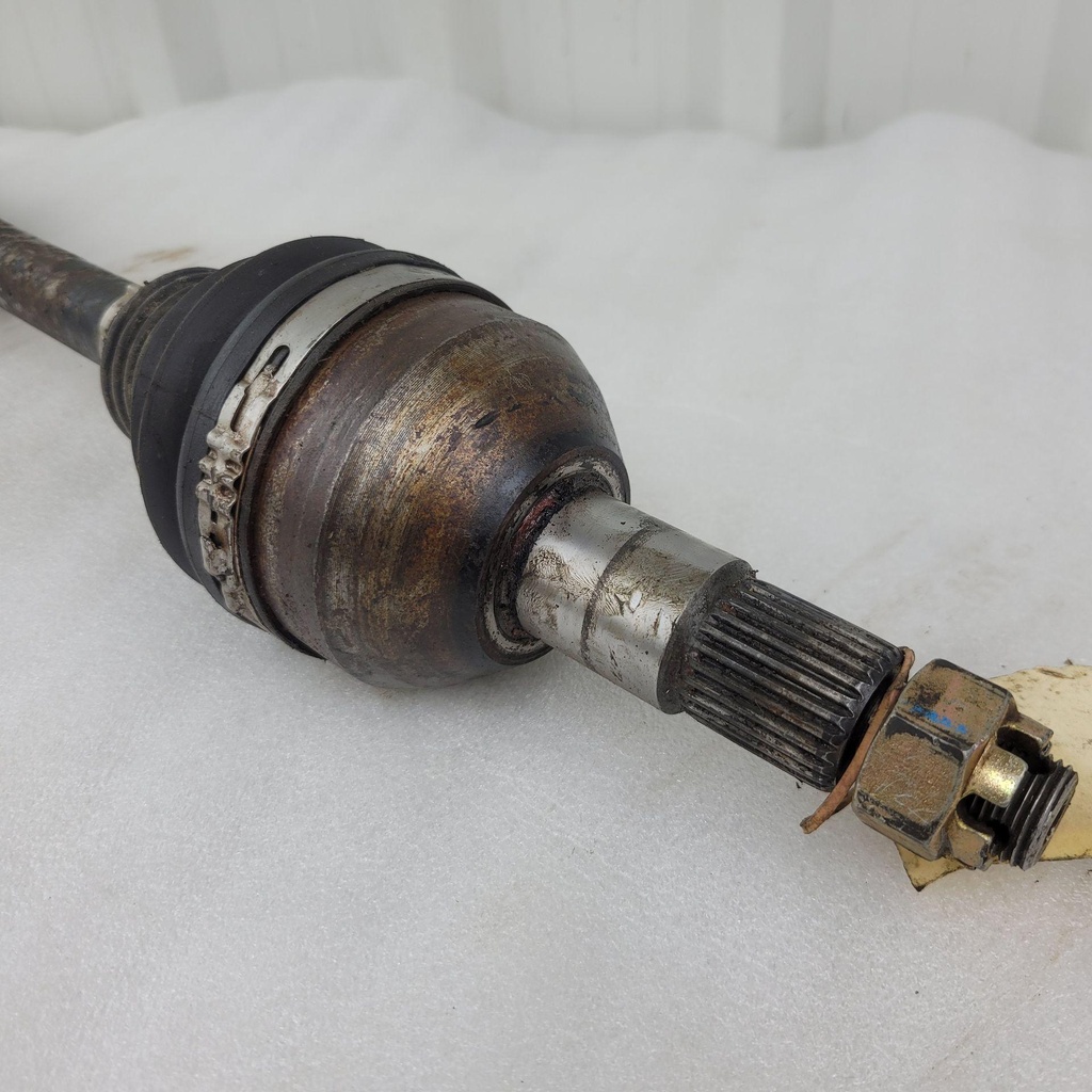 20250328_095726.jpg