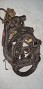 BOMBARDIER MAIN HARNESS - 710002120