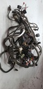 BOMBARDIER Main Harness Ass'y - 710002540