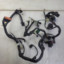 MAIN HARNESS 3CYL YAM