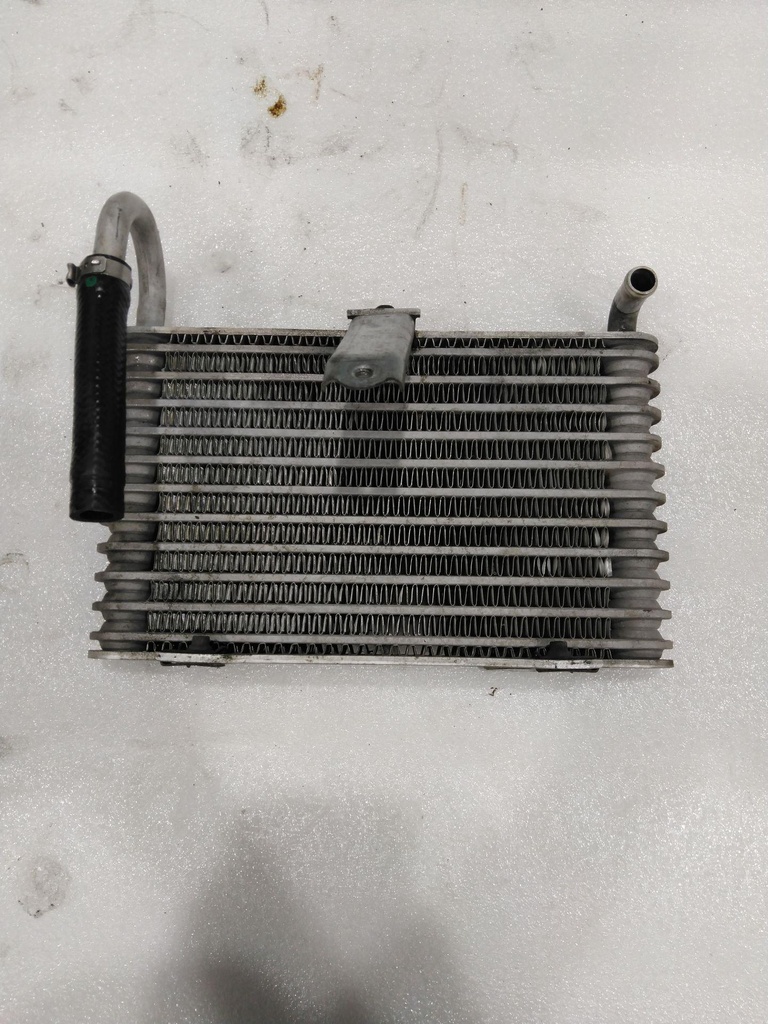 519000123-3.jpg