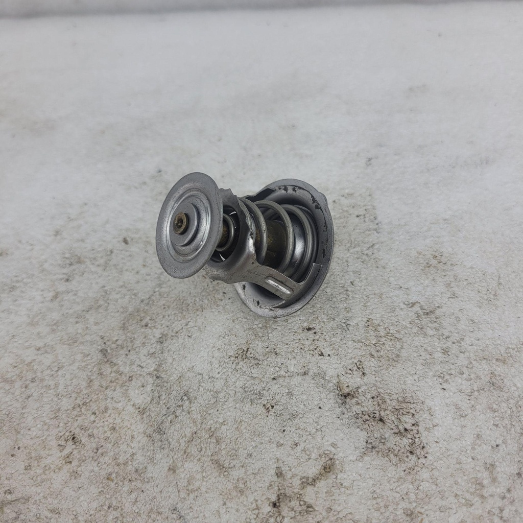 [100150-001] Thermostat - 2017-2020 Stampede Havoc
