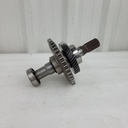 output shaft
