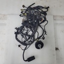 harness,main