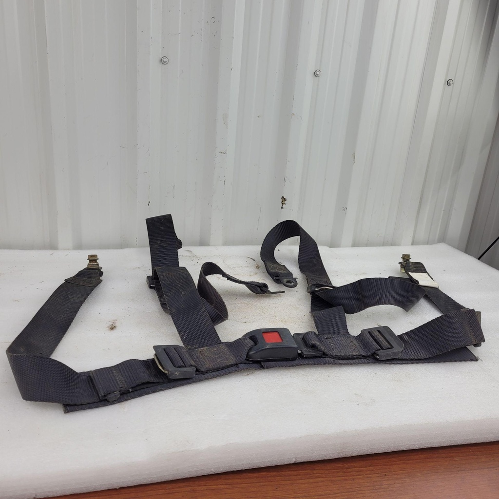 [CF00700] seat belt, driver