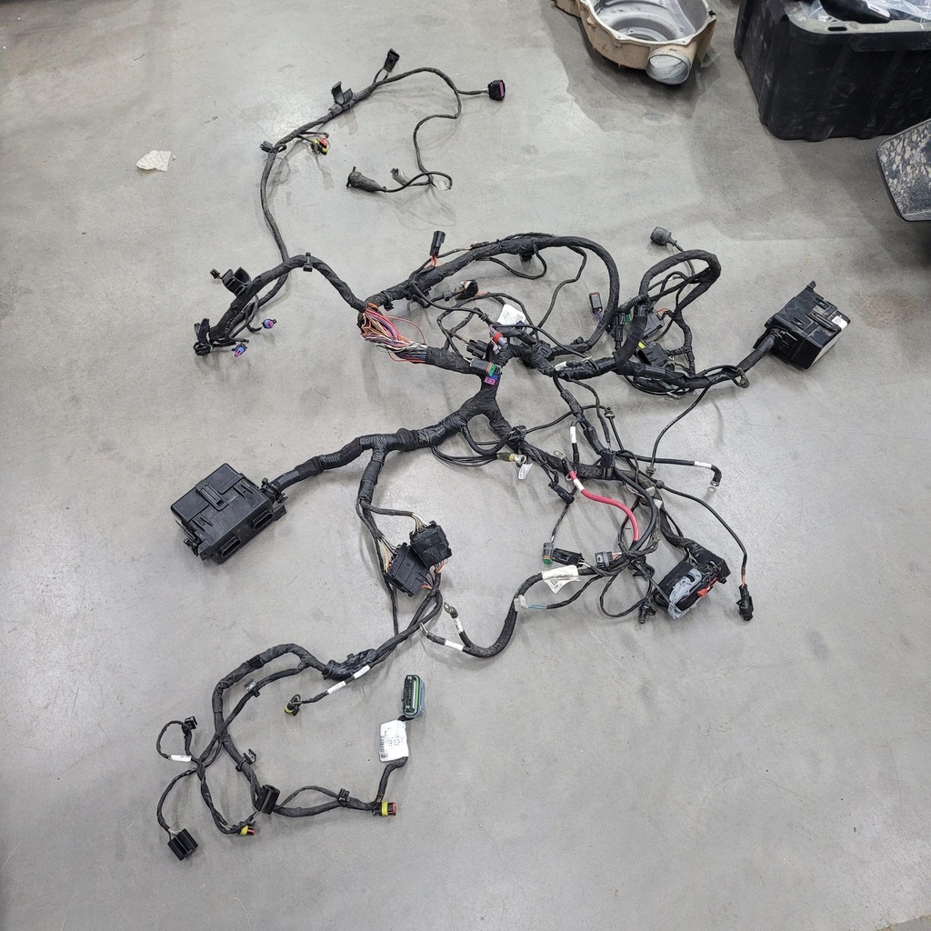 [710003697-001] wiring harness_chassis