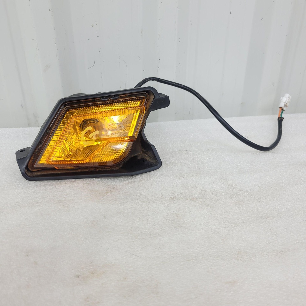 [CF01253] REAR TURN LIGHT (LH)