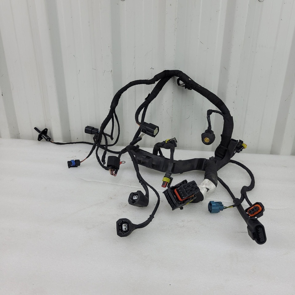 [420864547-001] wiring harness