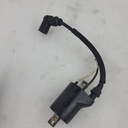 coil-ign,dc-sdi,w/zip tie,mag