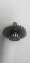 GEAR-BRAKE 43T (286210)