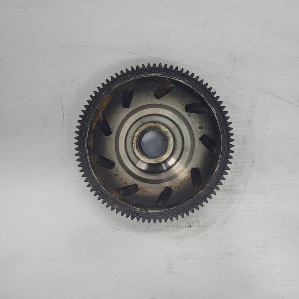 (new ref. 420866046) magneto flywheel shot